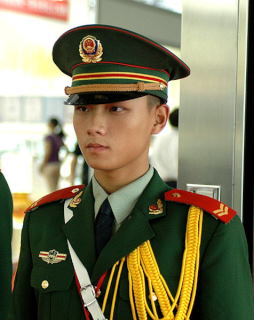 Żołnierz z kompanii honorowej