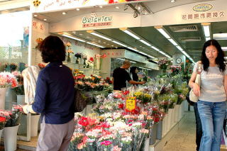 Hongkong - targ kwiatowy