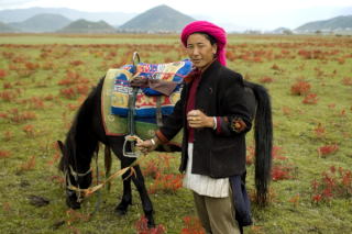 Spotkania na wrzosowiskach Yunnan